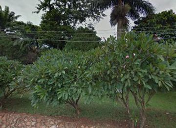 uganda/central-region/attraction/campers-quest