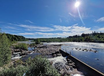sweden/vasterbotten/attraction/arboretum-norr