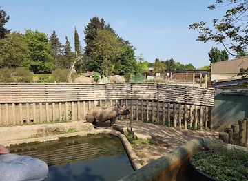 france/cote-des-blancs/attraction/touroparc-zoo