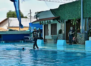 Samui Aquarium & Tiger Zoo