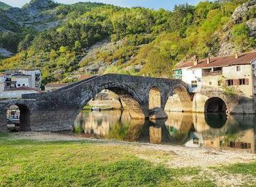 montenegro/bar/attraction/boat-old-bridge-skadar-lake