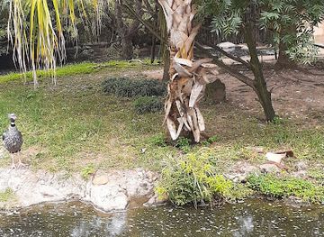 arkansas/texarkana/attraction/vera-bradfield-park