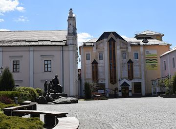 ukraine/vinnytsia-region/attraction/vinnytsia-local-history-museum