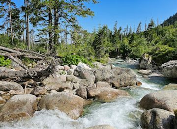 slovakia/tatranska-lomnica/attraction/vodopad
