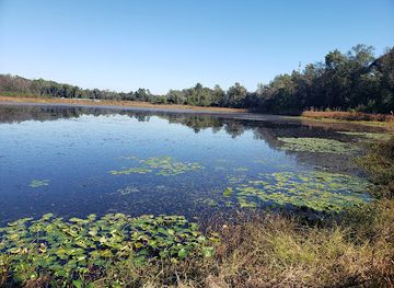 south-carolina/congaree-national-park/attraction/pinewood-lake-park