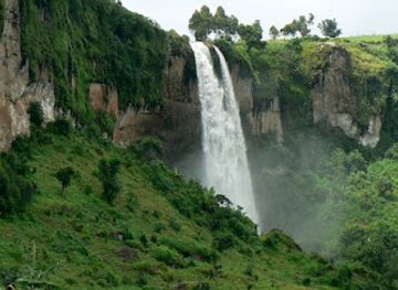 uganda/bwindi-impenetrable-national-park/attraction/gorillavisit-com