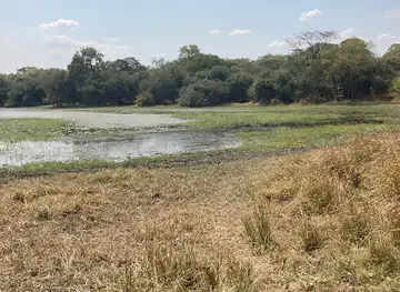 Kuti Wildlife Reserve
