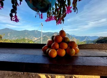 bhutan/chhukha-district/attraction/bhalukhop