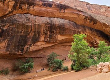 utah/canyonlands/attraction/morning-glory-arch
