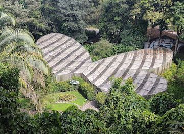 colombia/armenia/attraction/quindio-botanical-garden