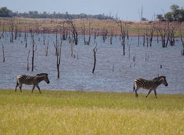 zimbabwe/kariba/attraction/matusadona-national-park