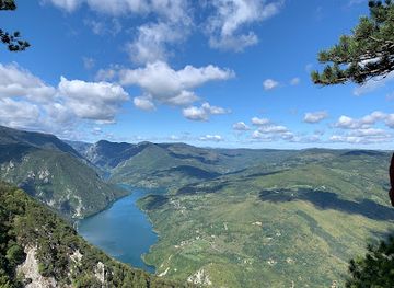 serbia/bor/attraction/tara-national-park