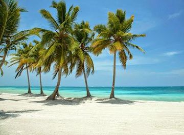 dominican-republic/punta-cana/attraction/punta-cana-tours
