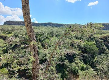 kenya/lake-naivasha/attraction/ol-njorowa-gorge