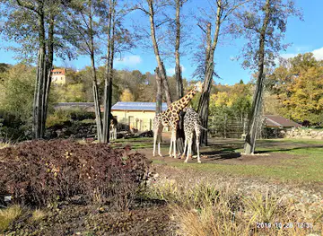 Plzeň Zoo