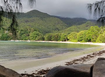 seychelles/ile-souris/attraction/coral-reef-port-launay