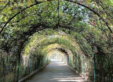 armenia/tsaghkadzor/attraction/yerevan-botanical-garden
