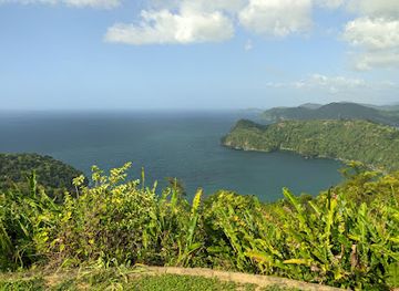 Maracas Lookout