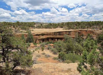 colorado/uncompahgre-plateau/attraction/spruce-tree-house