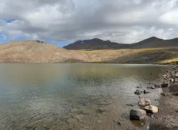 Kari Lake