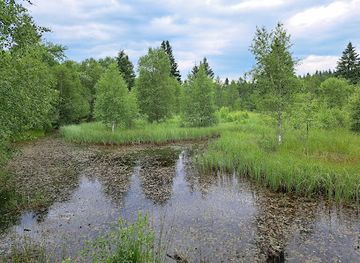 germany/monschau/attraction/vennhochflache-bei-mutzenich