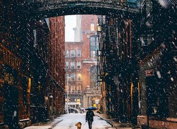 new-york/new-york-city/attraction/staple-street-skybridge