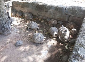 tanzania/tabora/attraction/tabora-park