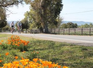 california/santa-barbara/attraction/i-bike-santa-barbara-wine-country-tours
