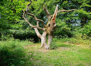 denmark/limfjord/attraction/hultraet