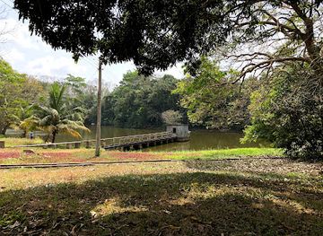 ghana/kwahu/attraction/cocoa-research-institute-of-ghana