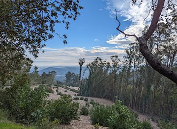 california/redwood-city/attraction/wunderlich-county-park