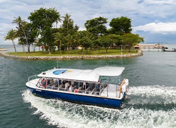 singapore/sentosa-island/attraction/southern-albatross-singapore