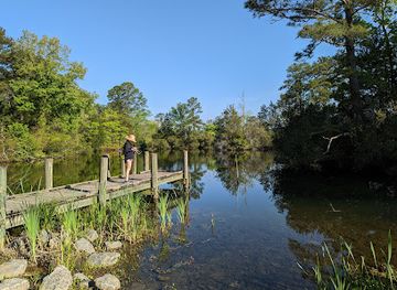 virginia/great-dismal-swamp-national-wildlife-refuge/attraction/lone-star-lakes-park