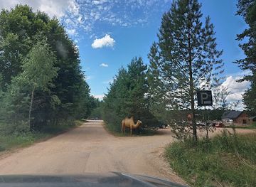 latvia/vidzeme/attraction/raksi-zoo