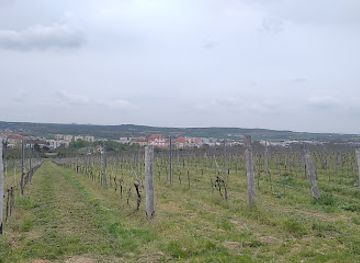 czechia/podyji-national-park/attraction/pekny-vyhled-na-znojmo