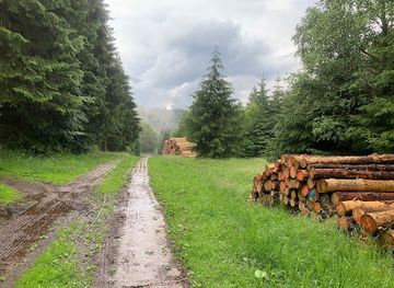 germany/harz/attraction/kolonnenweg