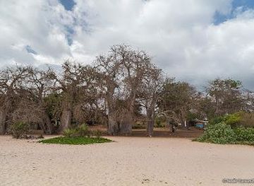 kenya/mombasa/attraction/kongo-mosque