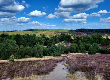 germany/lüneburg-heath/attraction/turmberg