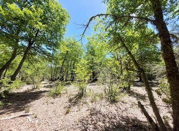 chile/nuble-region/attraction/laguna-huemul