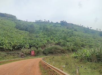 uganda/bwindi-impenetrable-national-park/attraction/bukorwe-ridge-nyanga-kanungu-district
