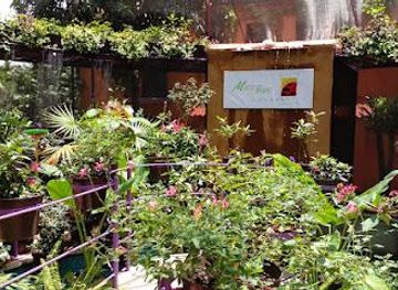 mexico/taxco/attraction/a-living-museum-of-malinalco-malinalco-critters