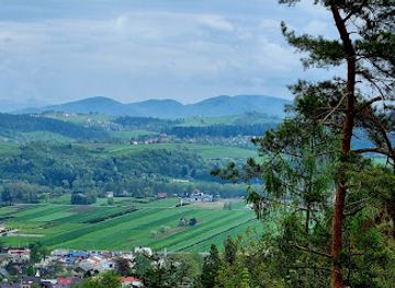 poland/lesser-poland/attraction/forest-pier