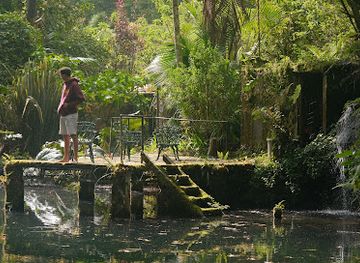 panama/ngabe-bugle-comarca/attraction/finca-dracula