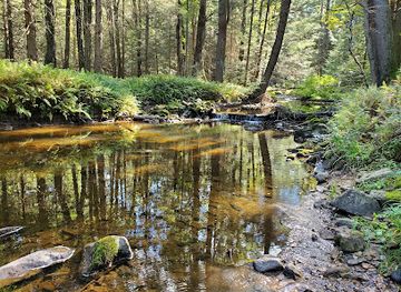 pennsylvania/south-central-pennsylvania/attraction/mccalls-dam-state-park