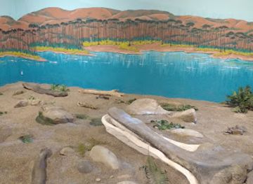 colorado/grand-junction/attraction/dinosaur-journey-museum