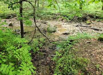 kentucky/natural-bridge-state-resort-park/attraction/whittleton-arch-trailhead