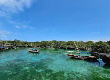tanzania/zanzibar-archipelago/attraction/kwale-blue-lagoon