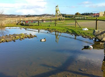 ireland/county-galway/attraction/loughwell-farm-park