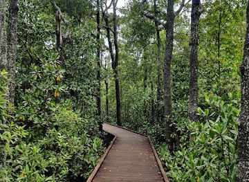 australia/southern-queensland/attraction/diversity-boardwalk