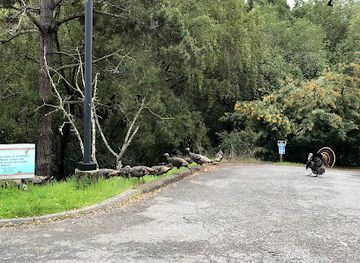 california/castro-valley/attraction/sulphur-creek-nature-center